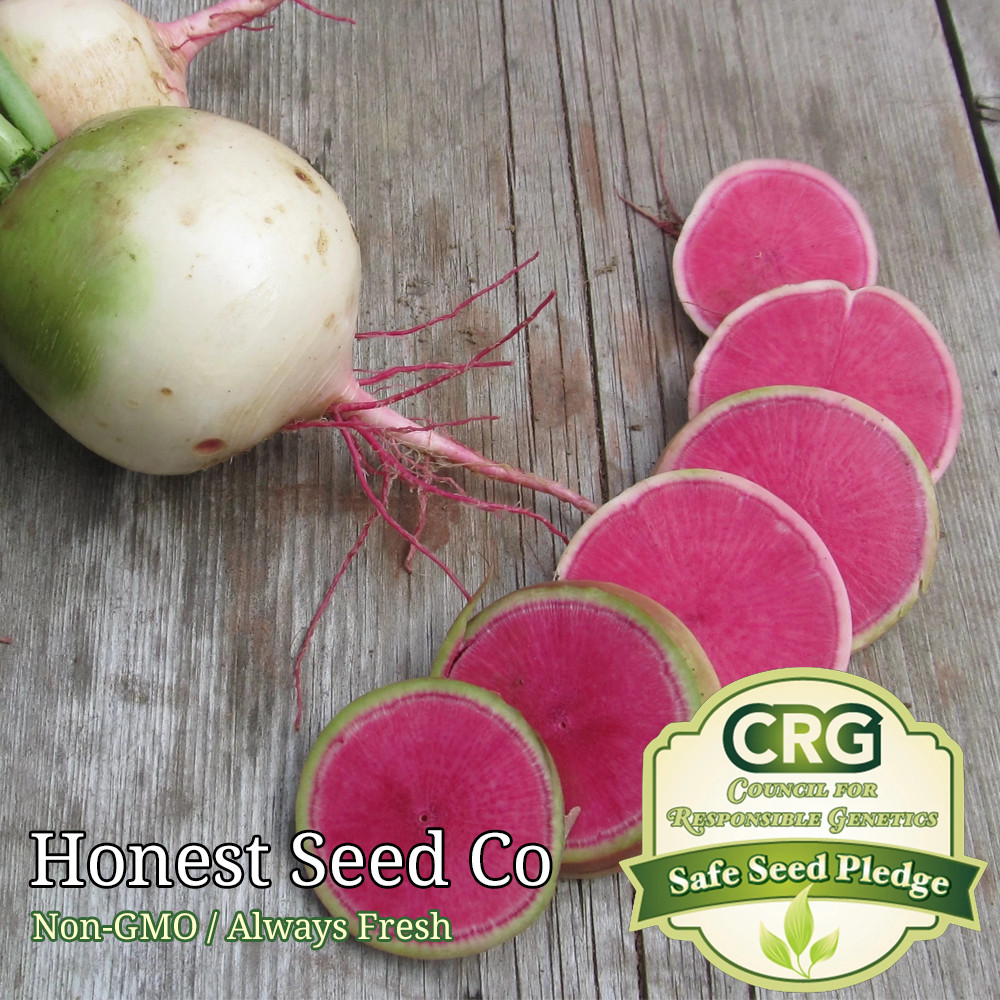 300+ Watermelon Radish Seeds | Heirloom Non-GMO | Fresh Garden Seeds