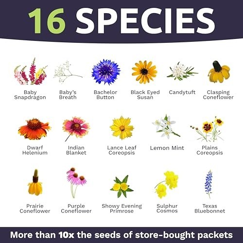 Texas Oklahoma Regional Mix Seeds – 1 lb Bulk – 240,000+ Non-GMO Native Seeds fo