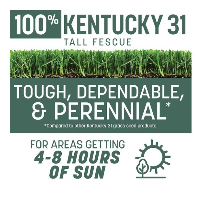 SALE-Pennington Kentucky 31 Tall Fescue Grass Seed 7 lb Covers Up to 1400 Sq Ft