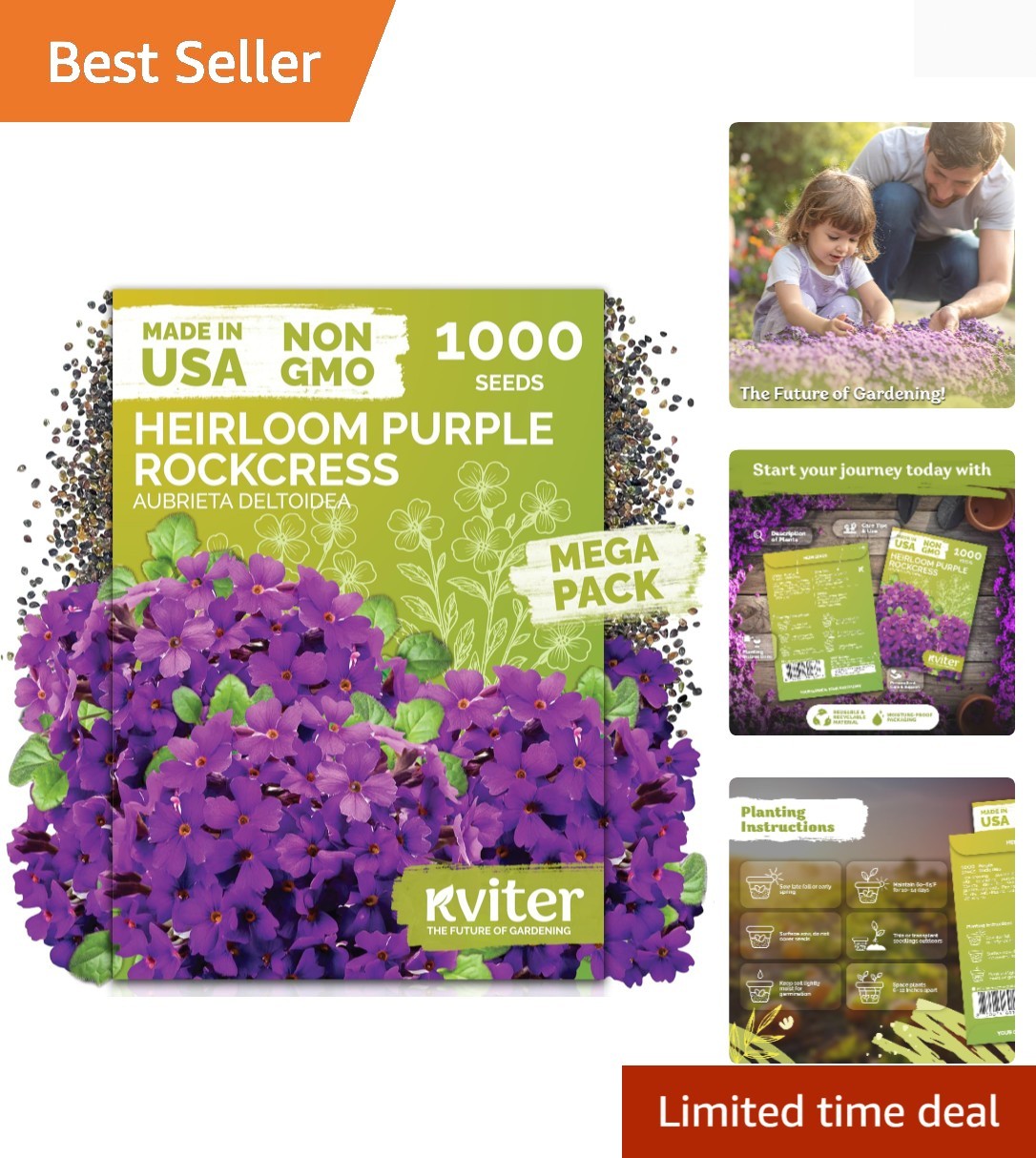 Aubrieta Flower Seeds – 1,000 Organic Purple Seeds for Stunning Blooming Beds