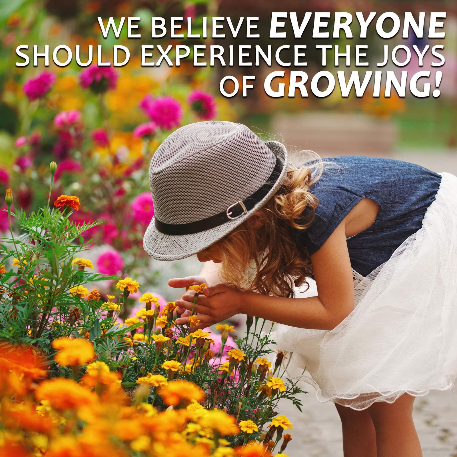 Wildflower Seeds Bulk – National Seed Collection – Perennial Brown