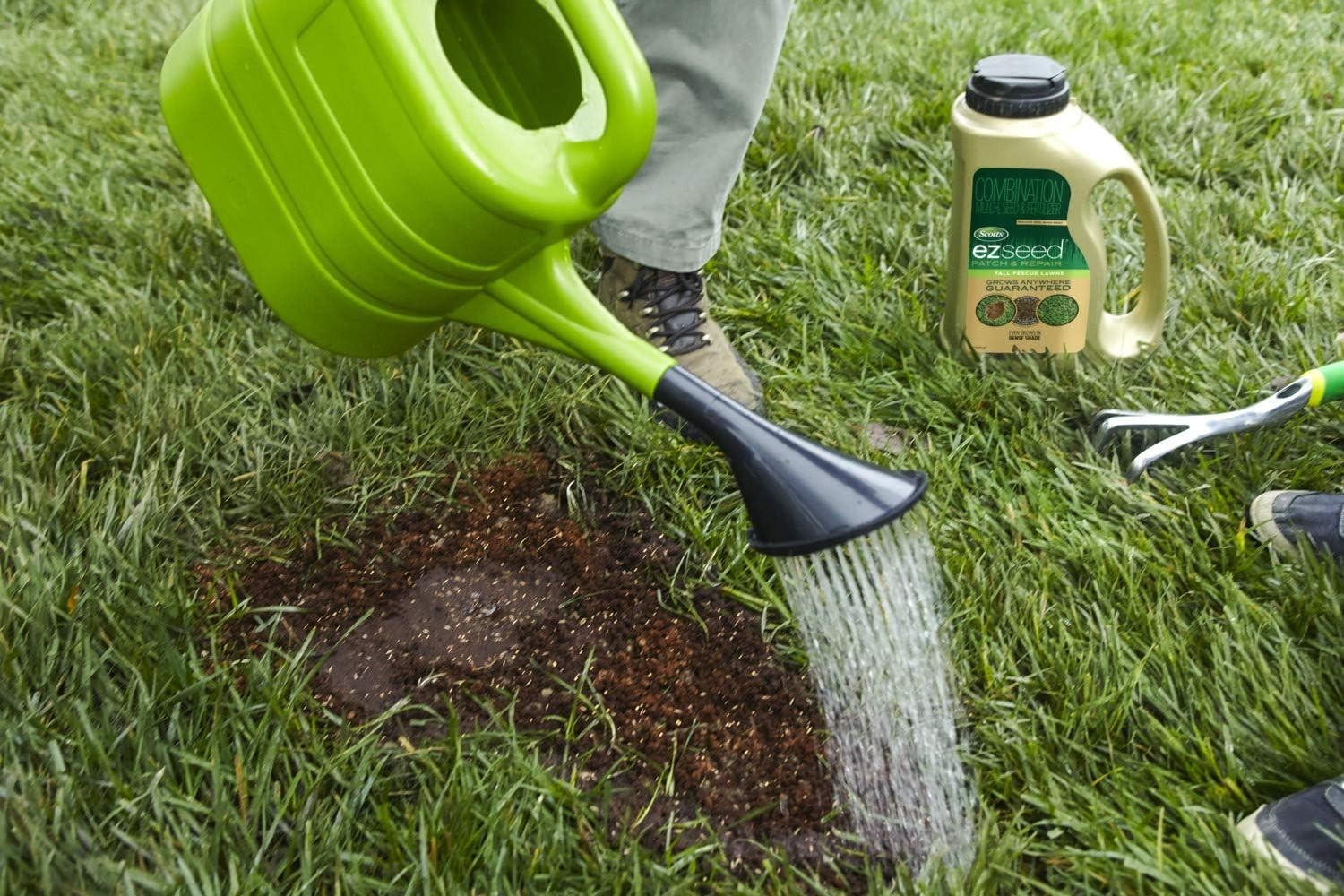 EZ Seed Tall Fescue Lawns – 3.75 lbs for Lush Growth in Any Condition