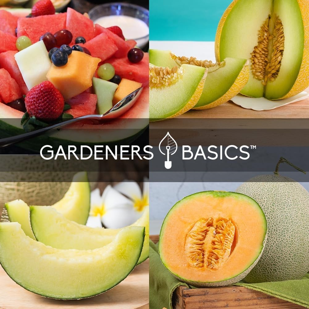 GMO-Free Melon Seeds – 5 Variety Pack for Vibrant Home Garden Delights