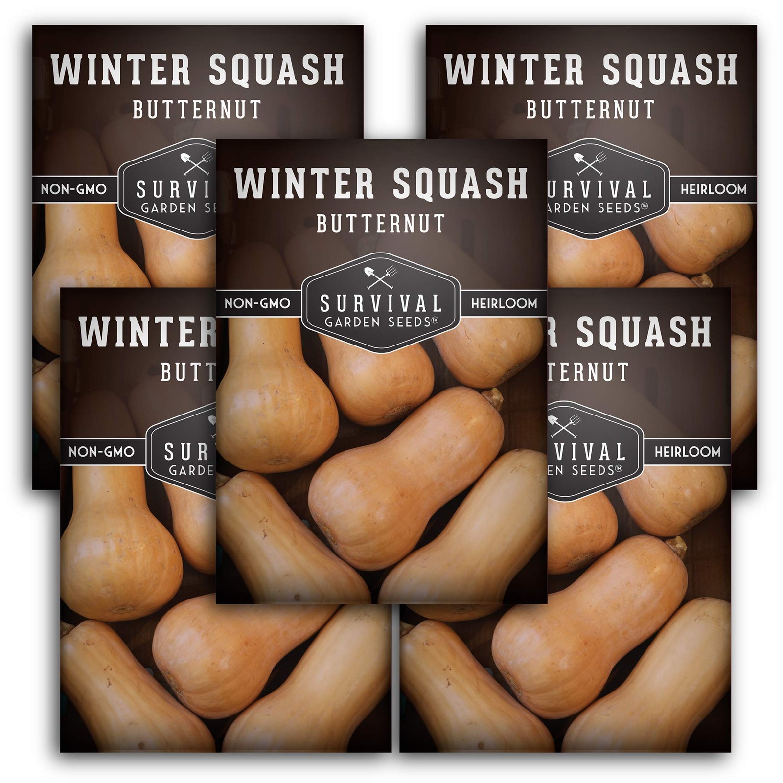 Heirloom Butternut Squash Seeds NonGMO, High Yield, Winter Garden 5 Packs