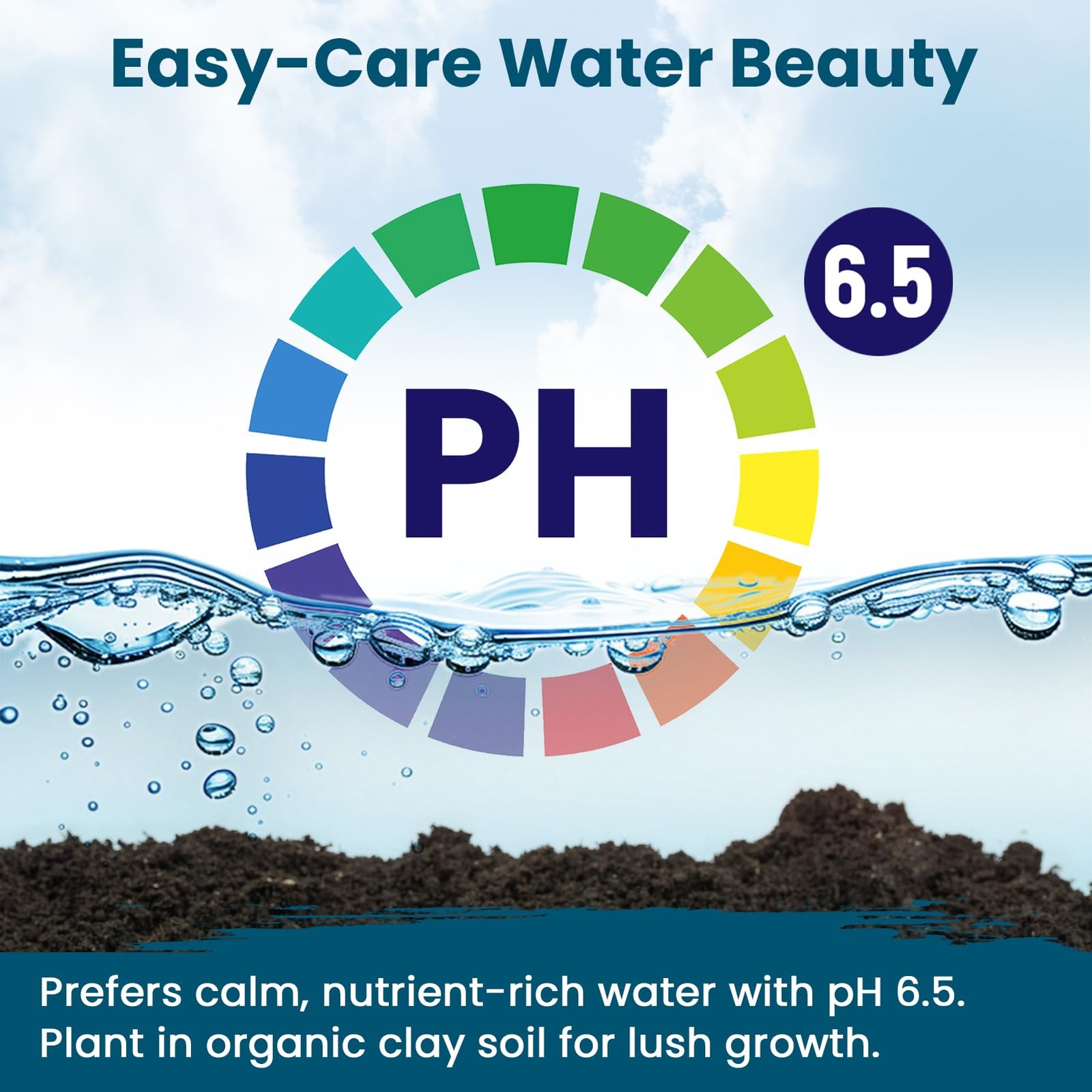 Lotus Seeds for Planting in Water – 30 PCS Mixed Bowl Lotus Seeds, Water Lily…