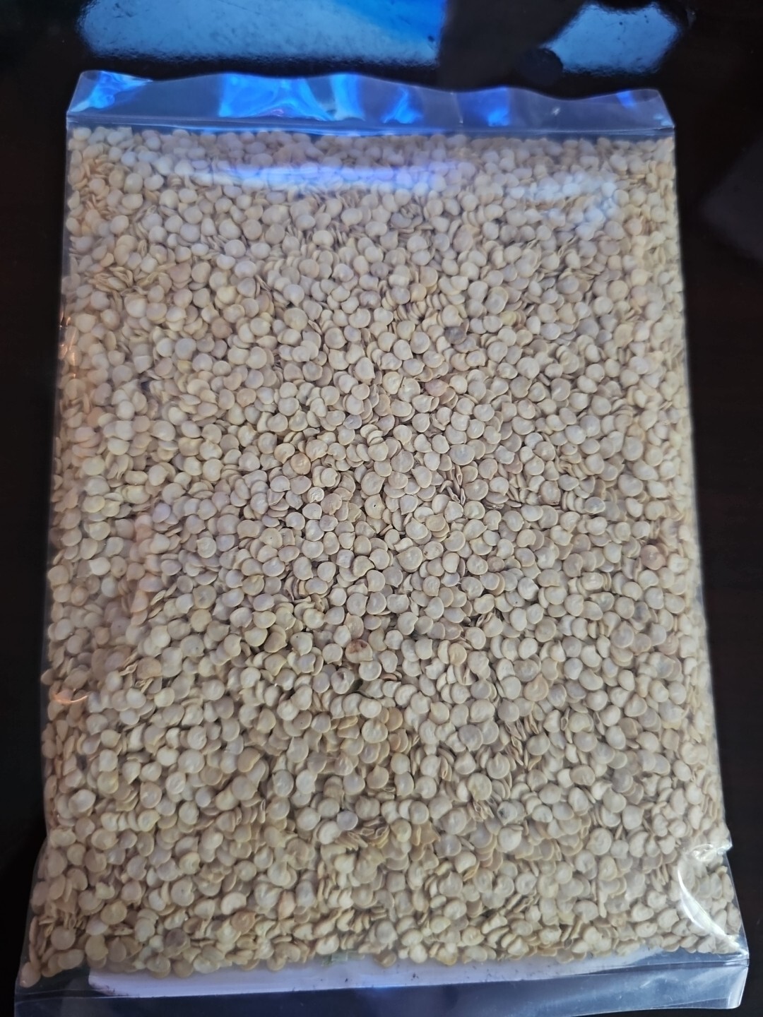 Eden Brothers Organic Sweet Pepper Rainbow Bell Blend Seeds 1/4 Pound