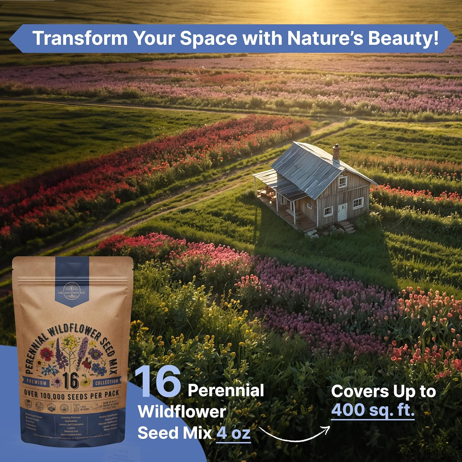 16 Perennial Wildflower Seeds Mix for Indoor & Outdoors. 100,000+ Non-Gmo, Heirl