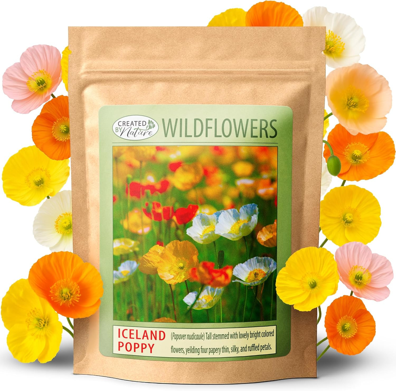 Iceland Poppy Seeds, 34,700 Perennial Wildflower Seeds