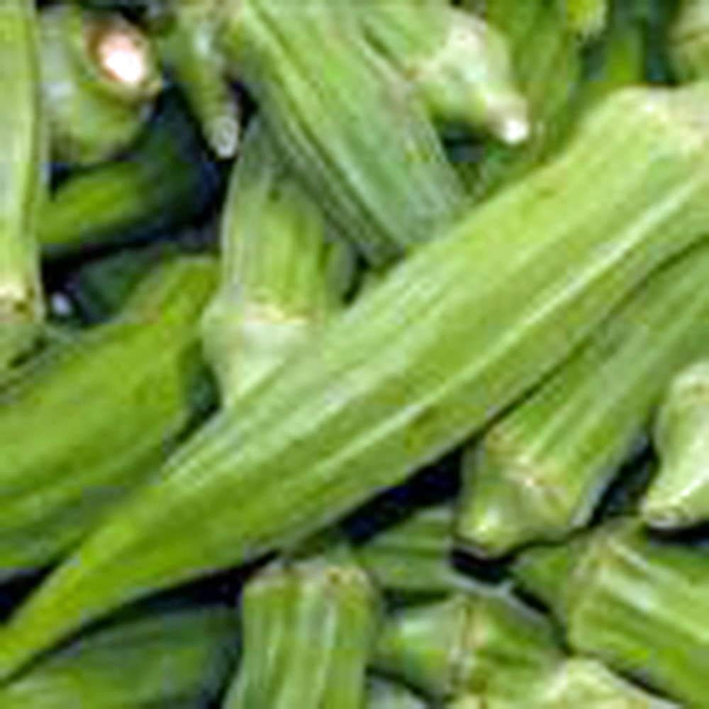 Okra Seed, Clemson, Heirloom, Non GMO, 50+ Seeds, Okra Garden Seeds