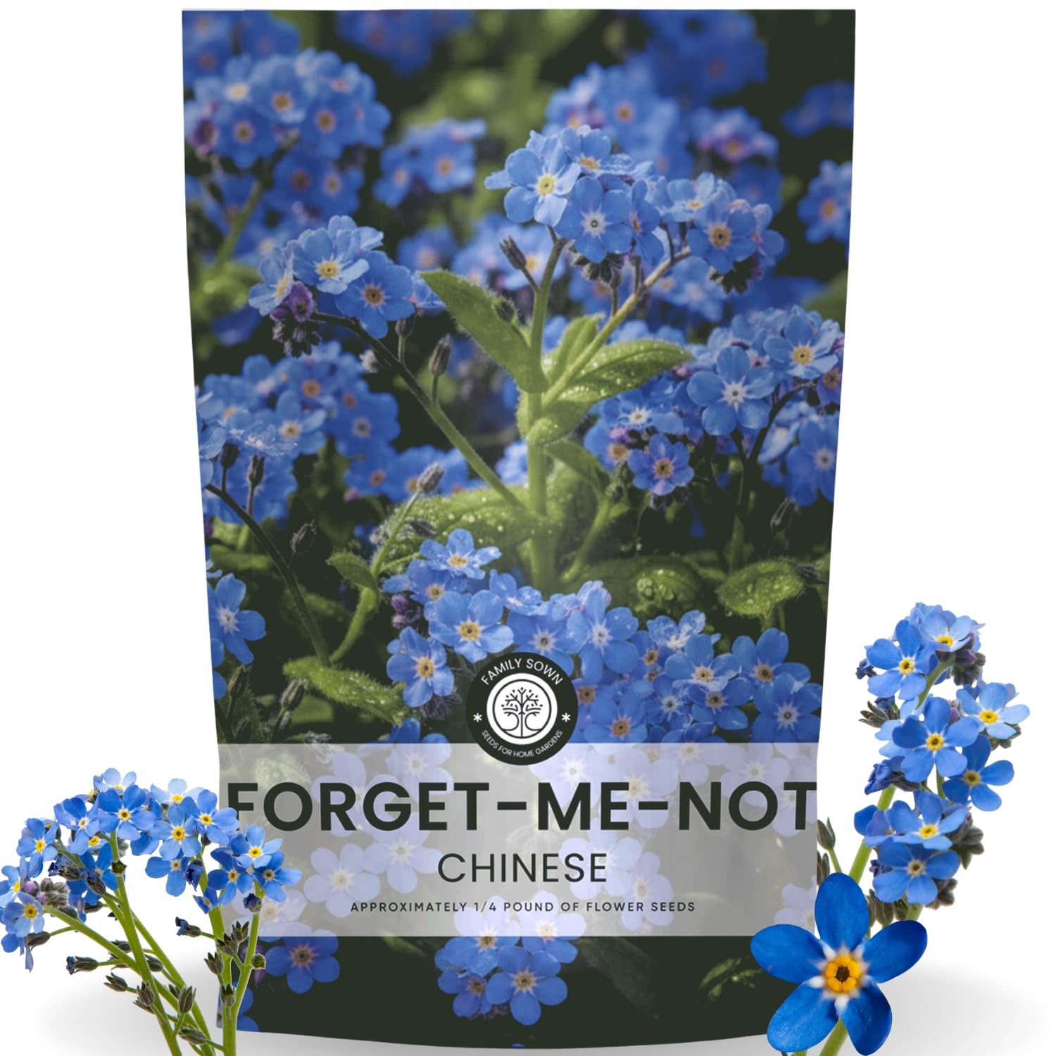 Chinese Forget Me Not Seeds – 18,000 for Planting – 2026 Season – 4 Ounces