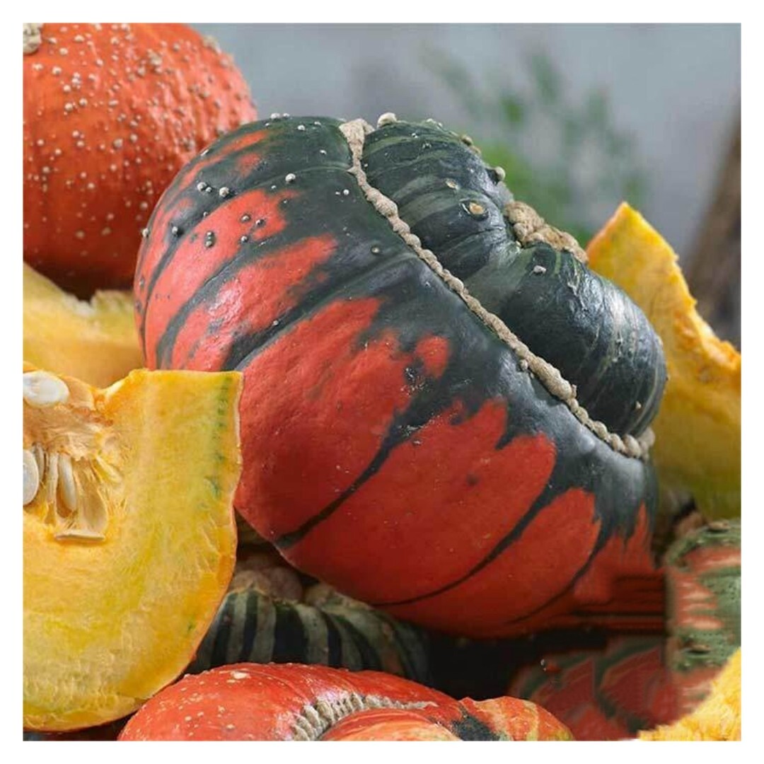 Turks Turban Gourd seeds | 5 Seeds |