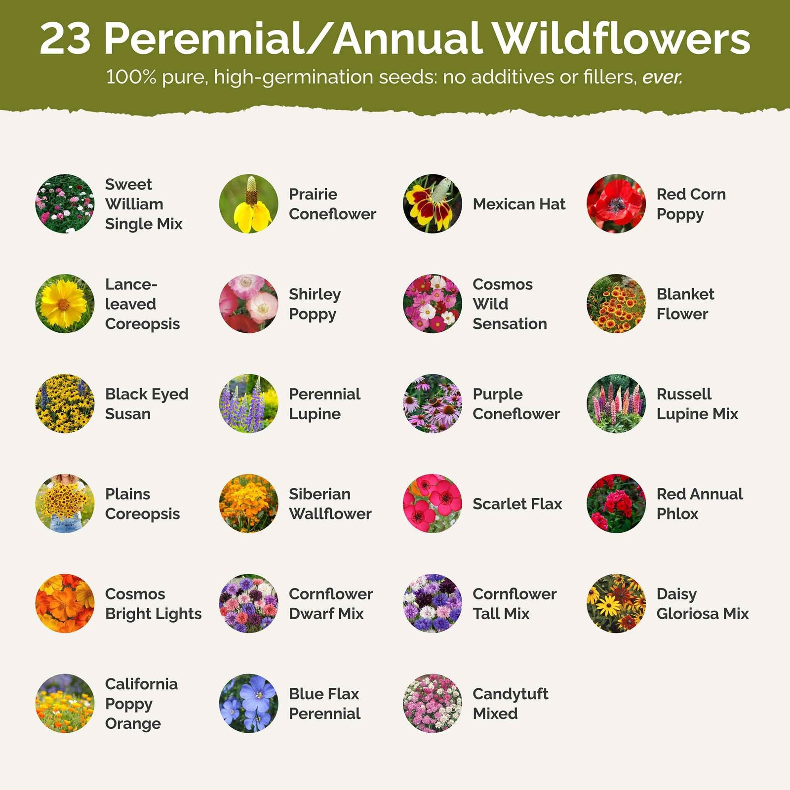 Midwest Wildflower Seed Mix 120,000+ Seeds for Pollinators, Plant in
