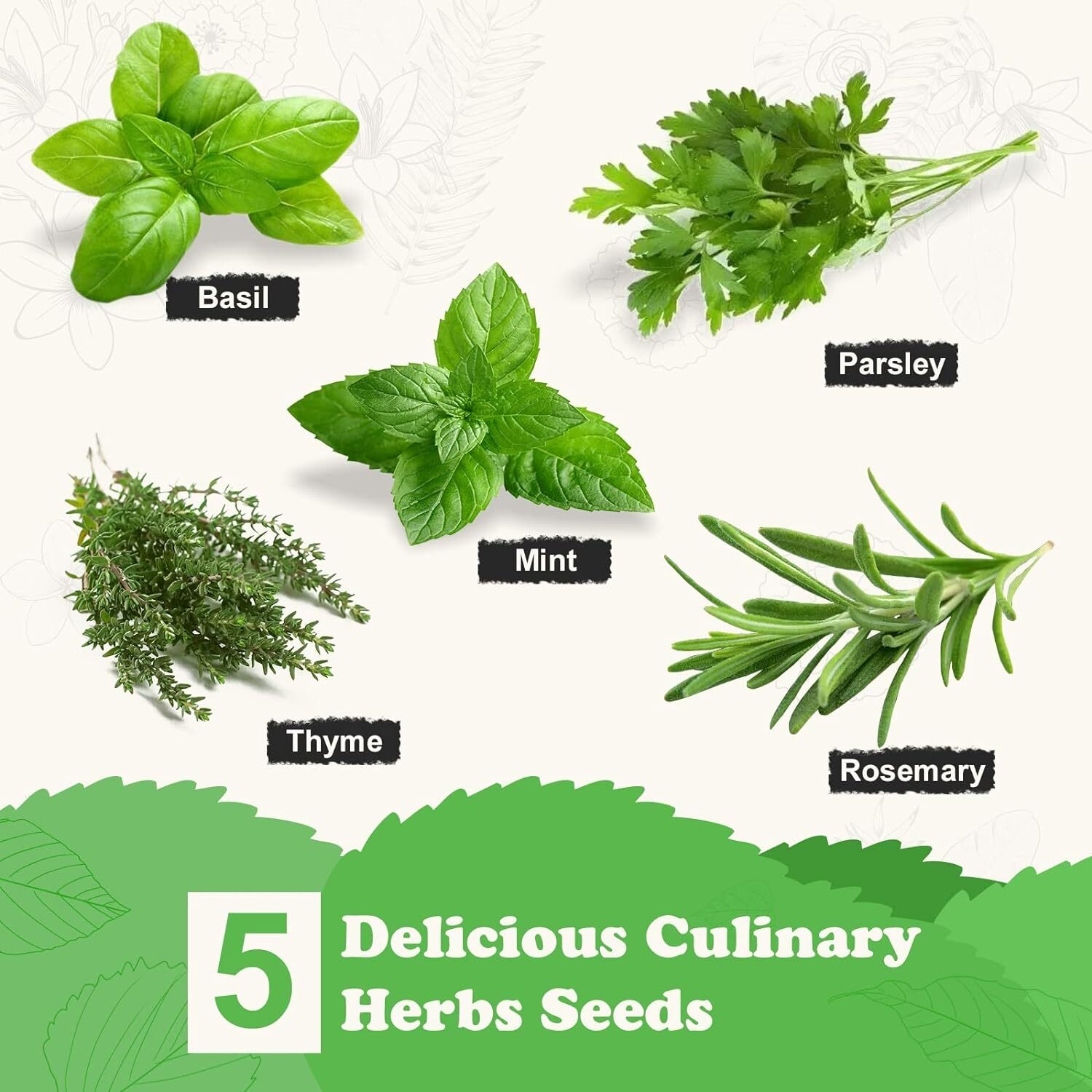 Indoor Herb Grow Kit 5 Seeds Garden Starter Kit