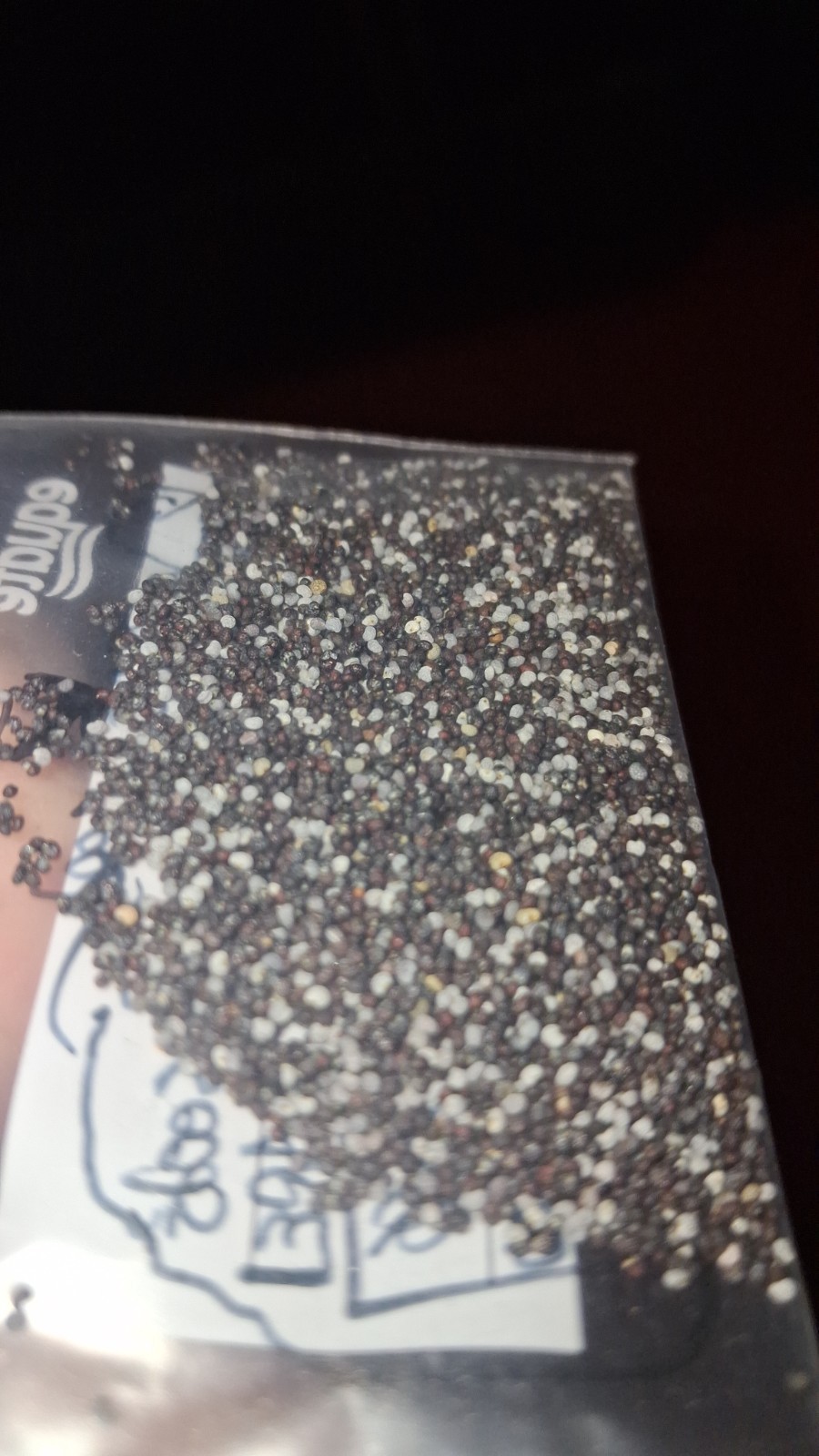 2,500+ Turkish Poppy Seeds – RARE SOMNIFERUM for planting
