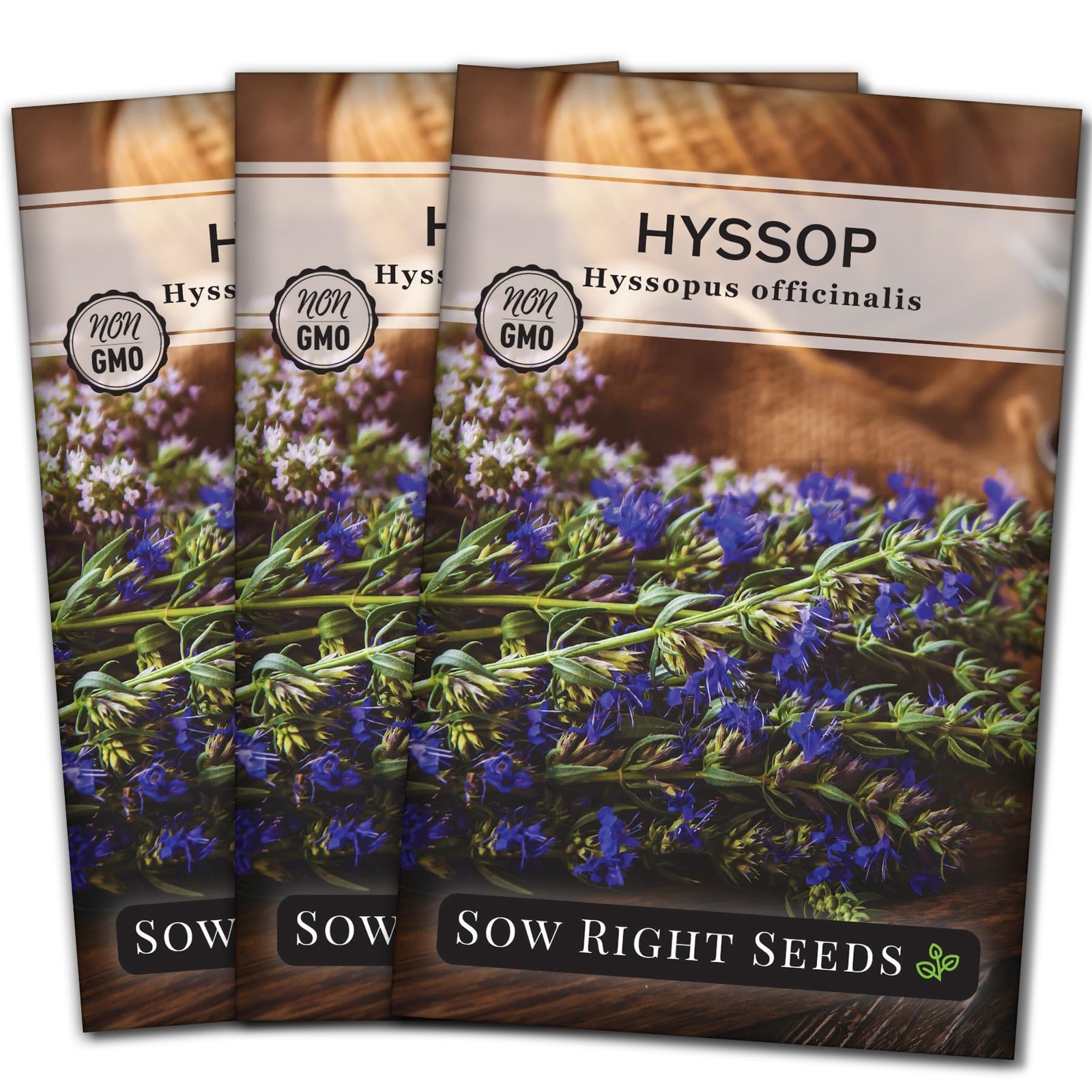 Hyssop Seeds for Planting Medicinal Herb, Attracts Pollinators, NonGMO