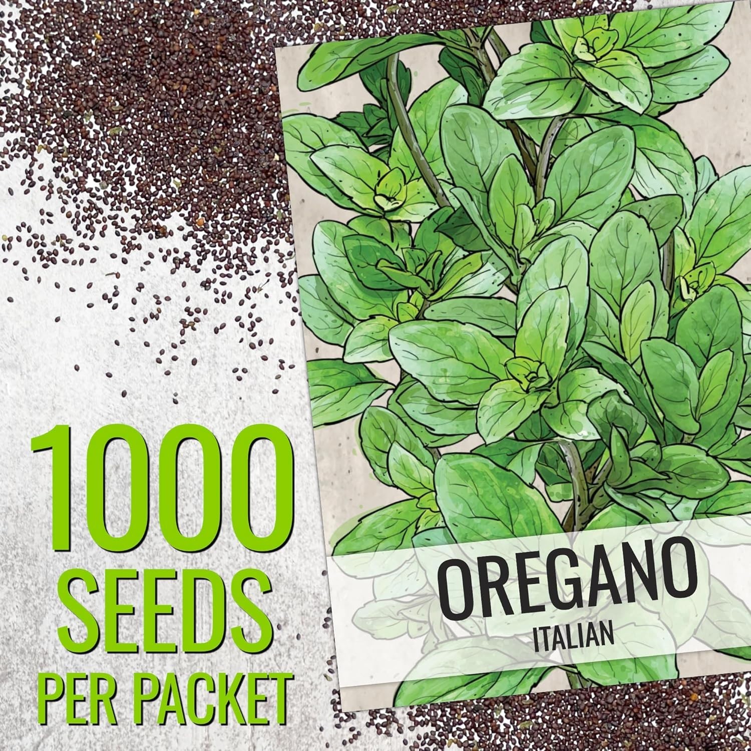 Italian Heirloom Oregano Seeds – Non-GMO, Perfect for Kitchen Gardens 1000 Pack