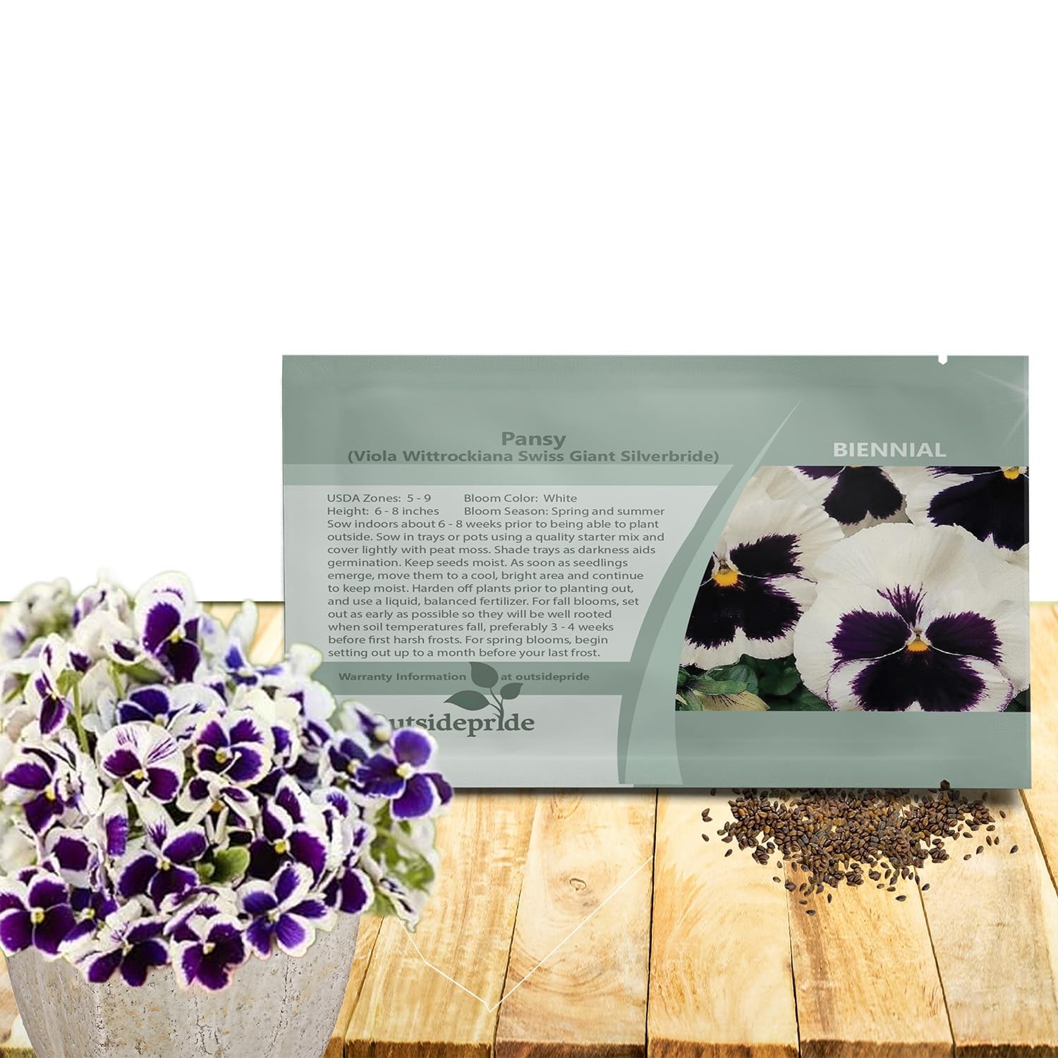 1000 PCS Silverbride Viola Pansy Seeds Cold Hardy Fragrant Flower Garden