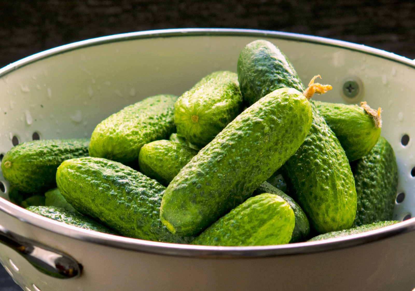 Boston Pickling Cucumber Seeds – For 2026 Planting Dark Green Kirby Heavy