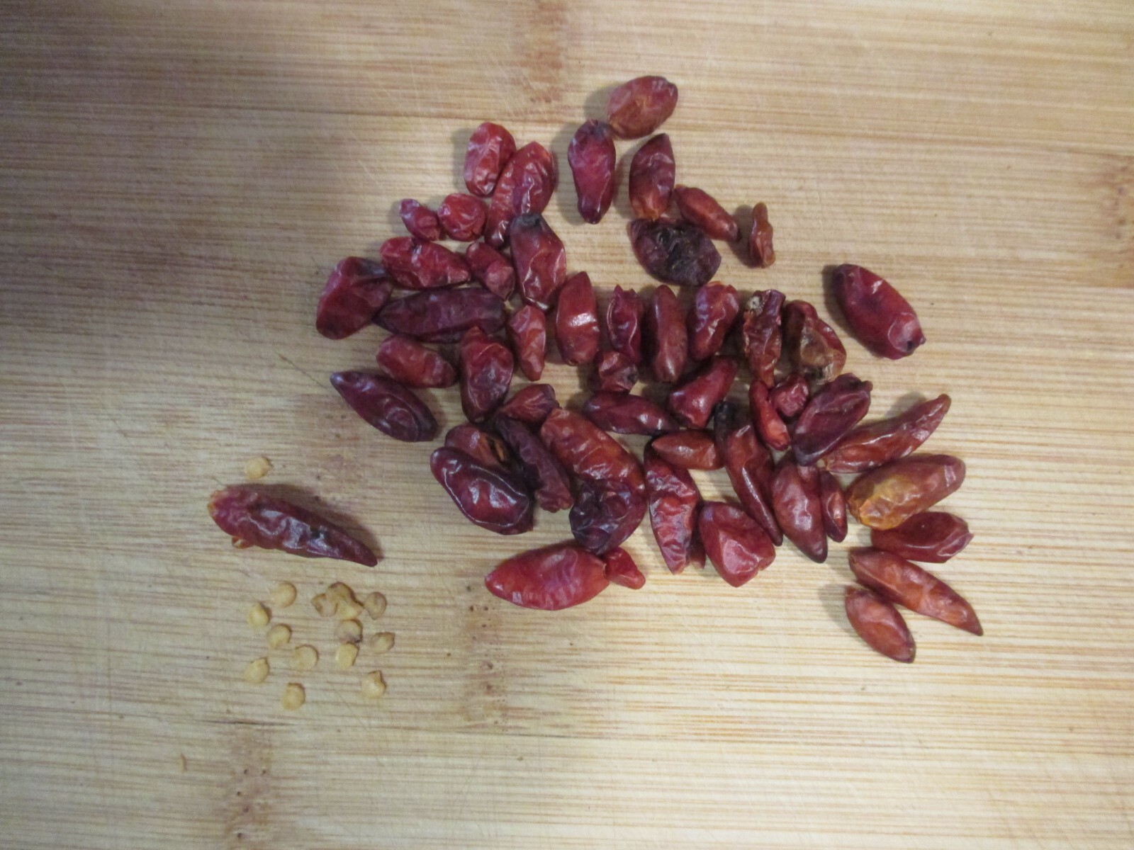50 Piquin Chile Peppers Pequin Chili Pepper Very Hot and Spicy 100 of Seeds