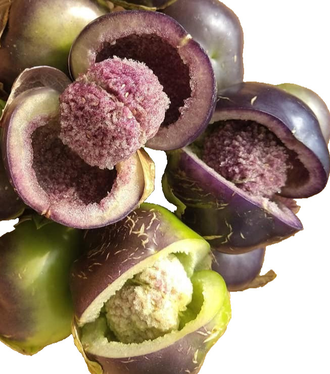 🌿20+ Amethyst & Emerald Geodes Tomatillo Seeds | Unique Purple-Green Mix🌿