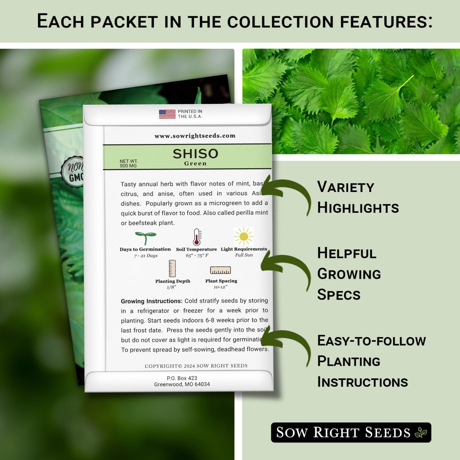 – Shiso Seed Collection for Planting – Includes Green & Purple – Non-Gmo Heirloo