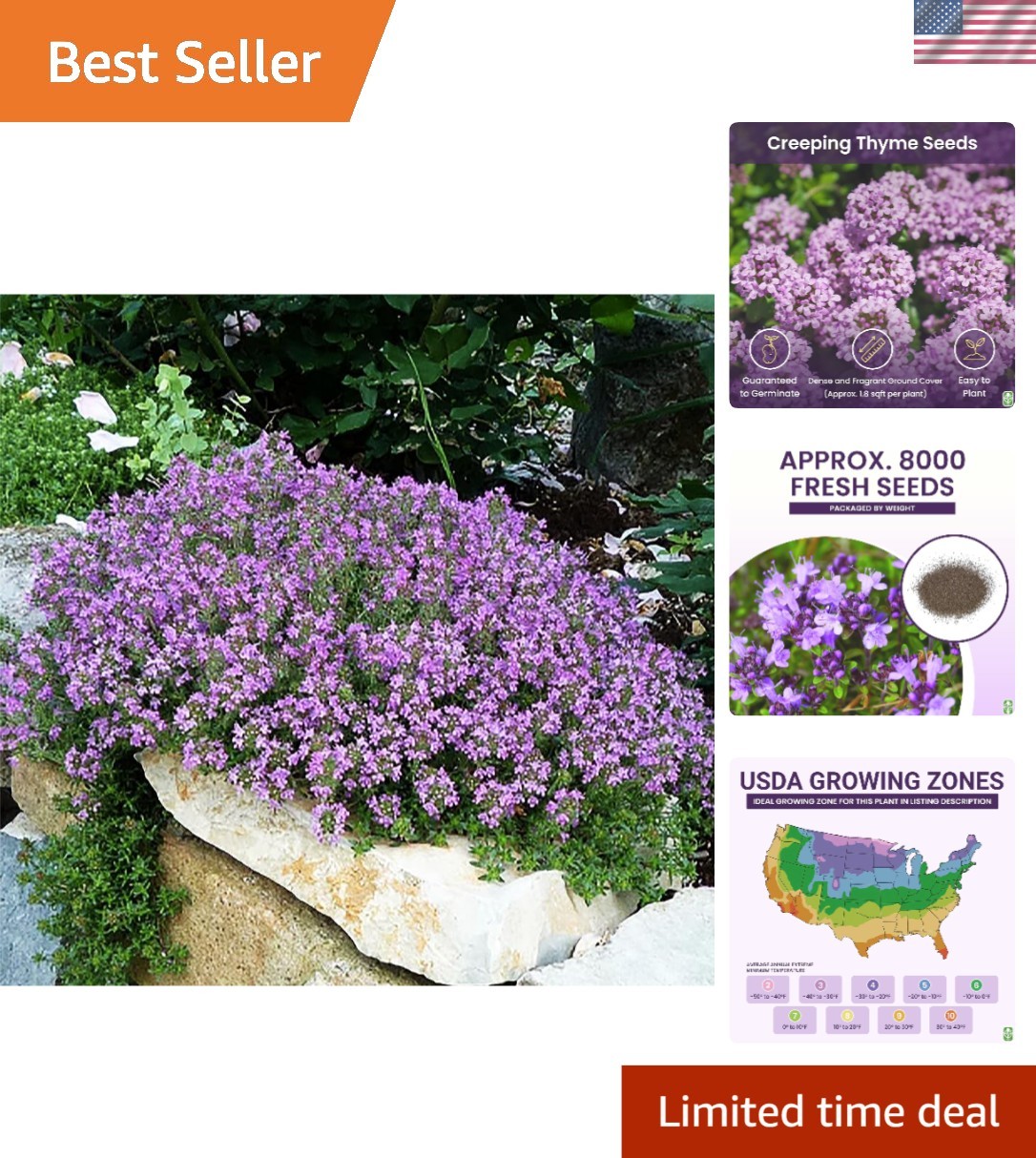 Transform Your Garden with 8000 Creeping Thyme Seeds – Attract Wildlife & Beauty
