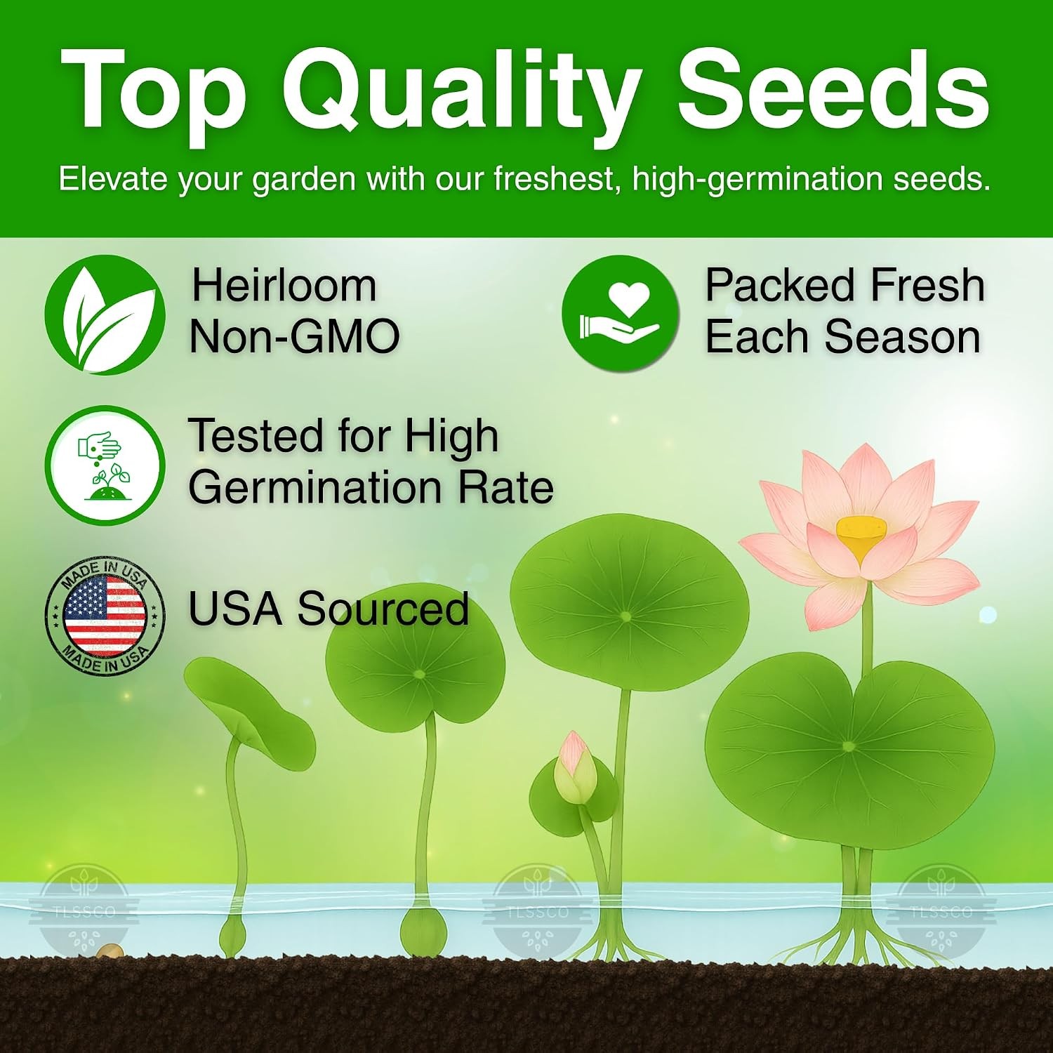 15 Lotus Seeds for Planting, Pack for 2026 USA Premium Non-GMO Seeds – Pink, Red
