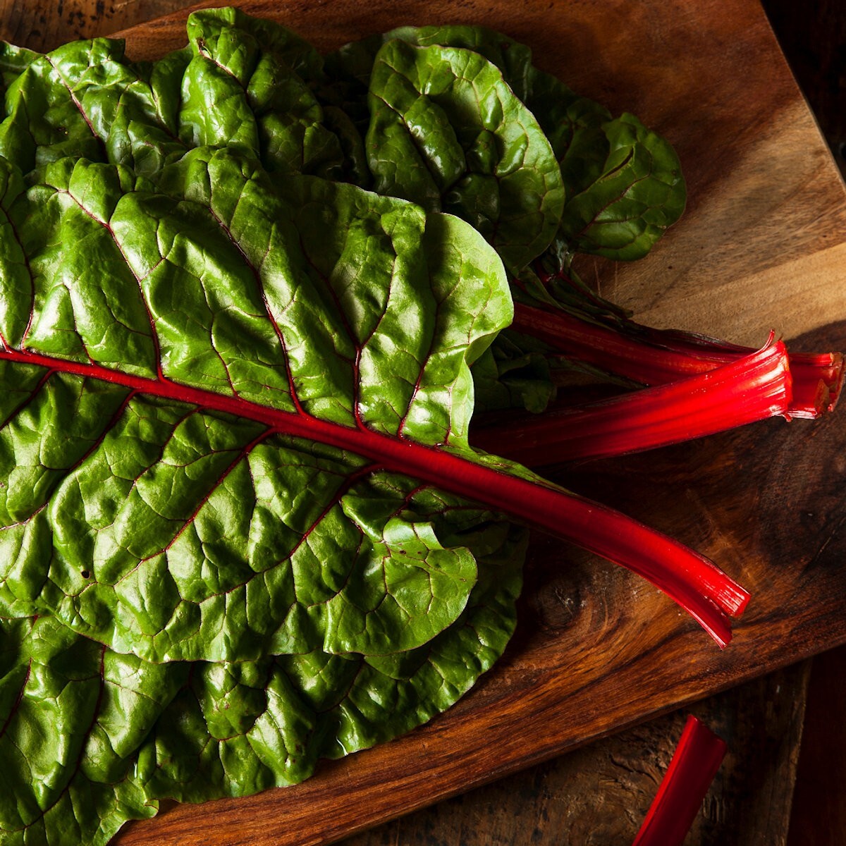 1 Lb Ruby Red Swiss Chard Seeds – Everwilde Farms Mylar Seed Packet