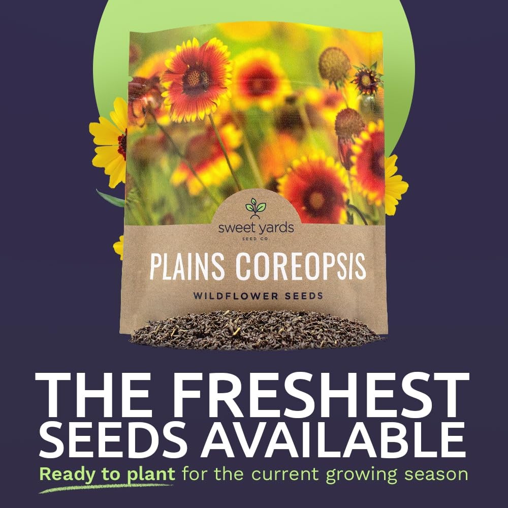 Plains Coreopsis Seeds – Native Flowers – Extra Large Packet – Over 100,000 O…
