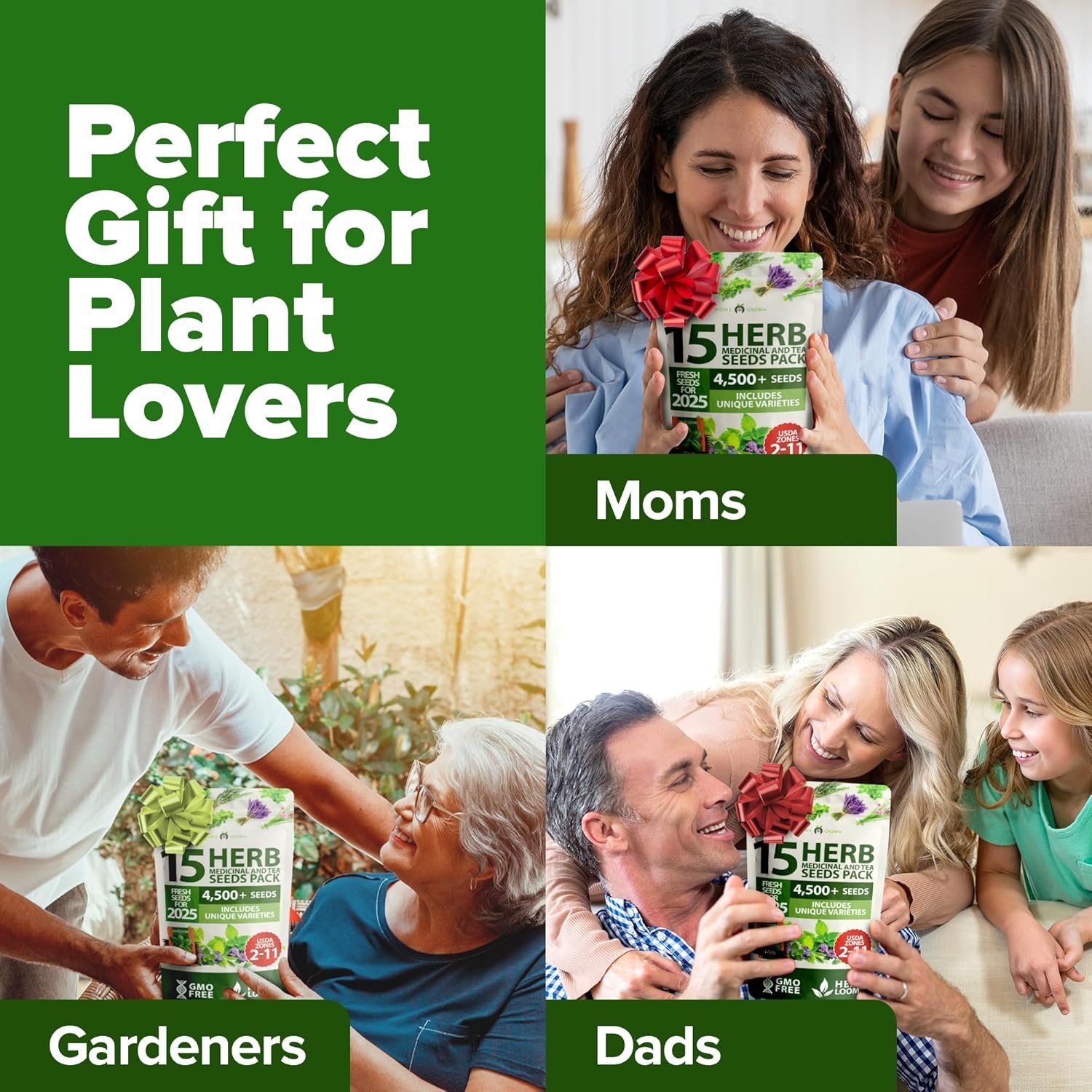 15 Herb Seeds Variety Pack – Non-GMO, Heirloom, Kitchen & Indoor Gardens