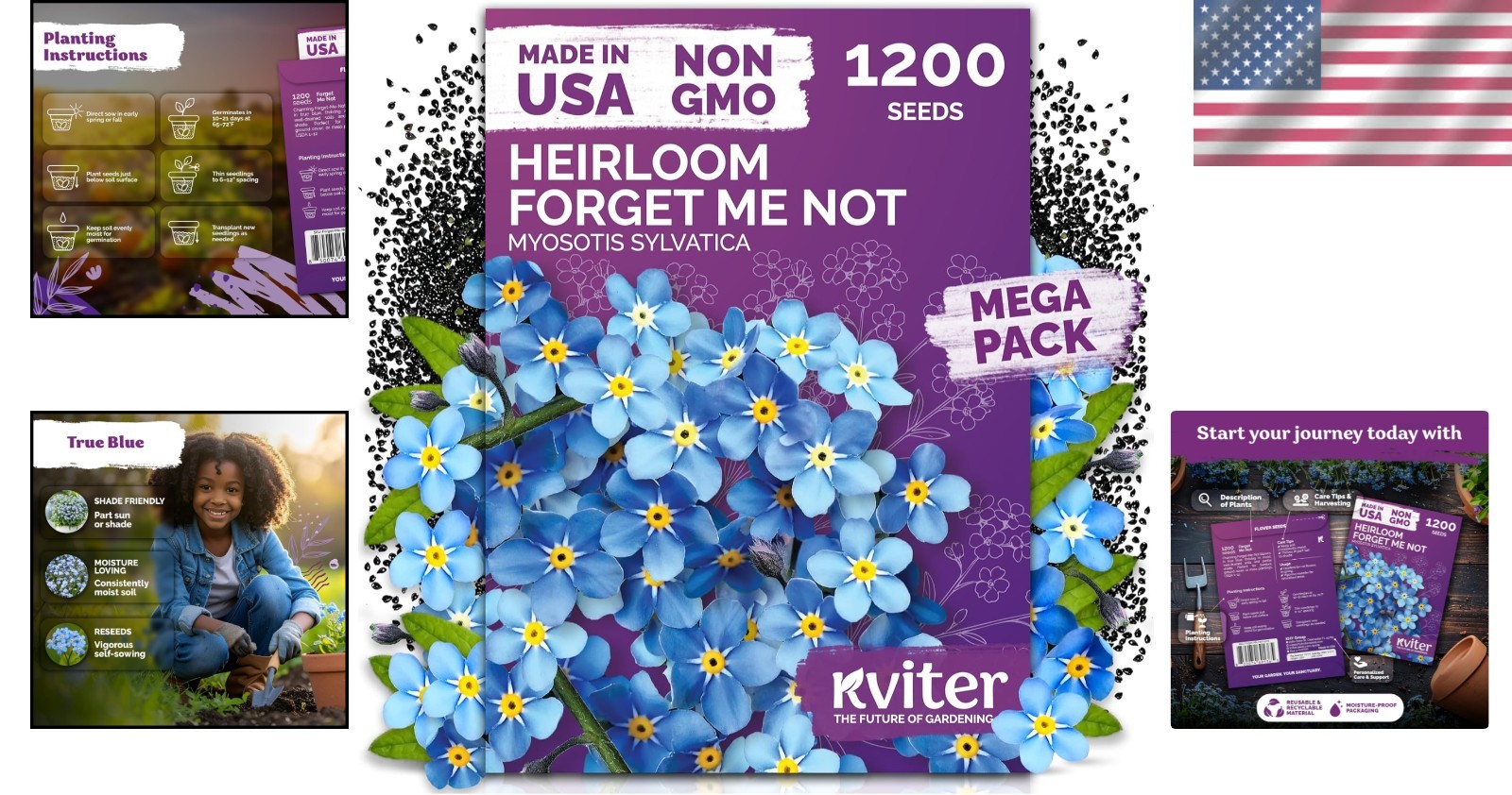 Compact 1200 Count Forget Me Not Seeds – Vibrant Blue Flowers for Easy Growing