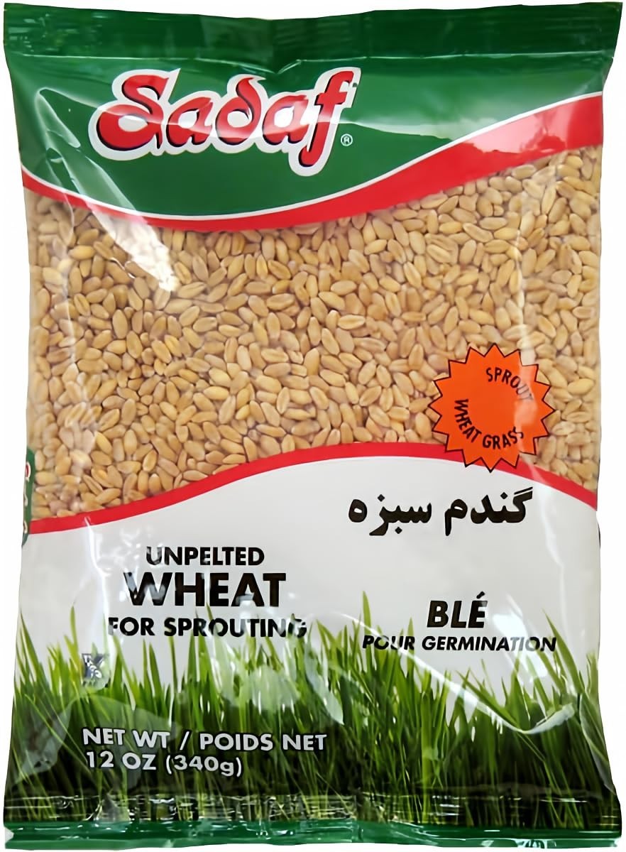 12 oz Unpelted Sprouting Wheat – Kosher Grain for Growing & Cooking