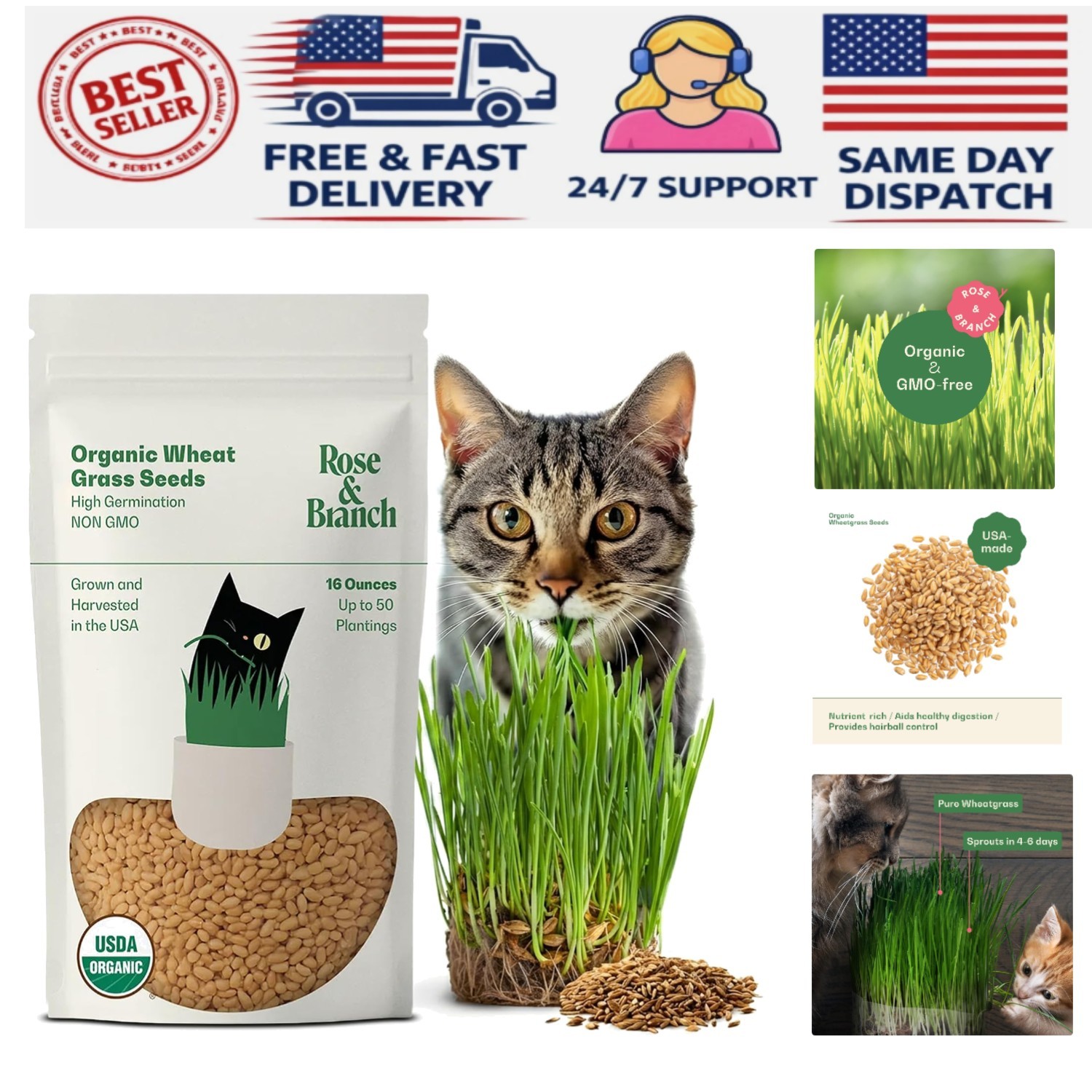 Rose & Branch Organic Wheat Grass Seeds for Indoor Cats – Cat Grass Seeds – 1…