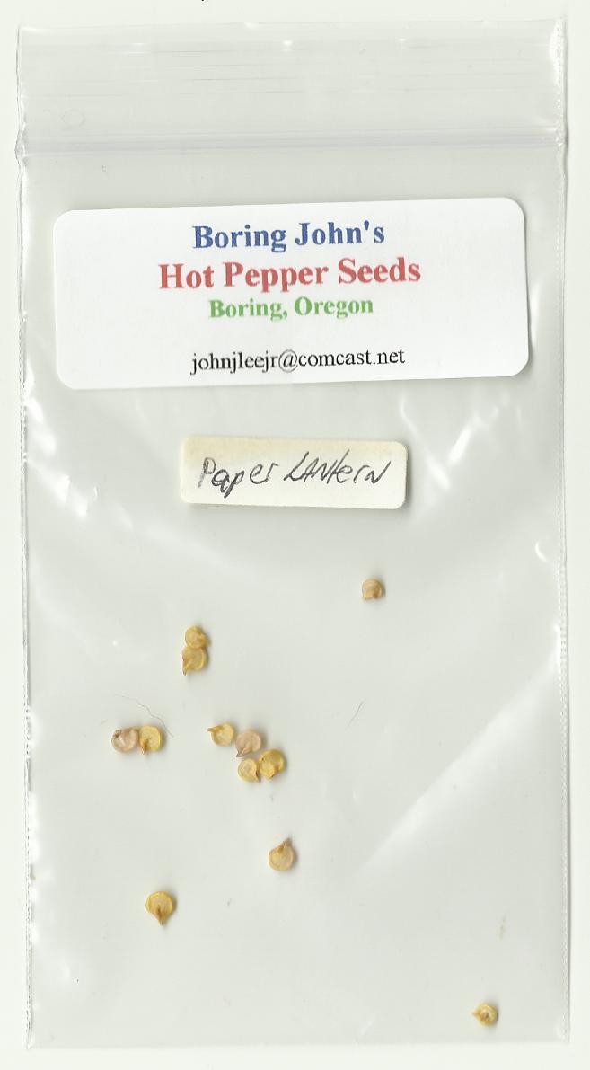 Japanese Paper Lantern Seeds – Habanero – Very Large Red – Pkg 10+ – Ltd Qty