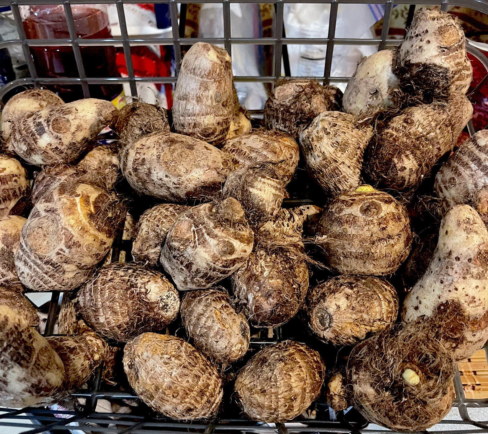 Malanga Coco Yam 1 Lbs tubers~2-4” Inches~ For Consumption Or Planting