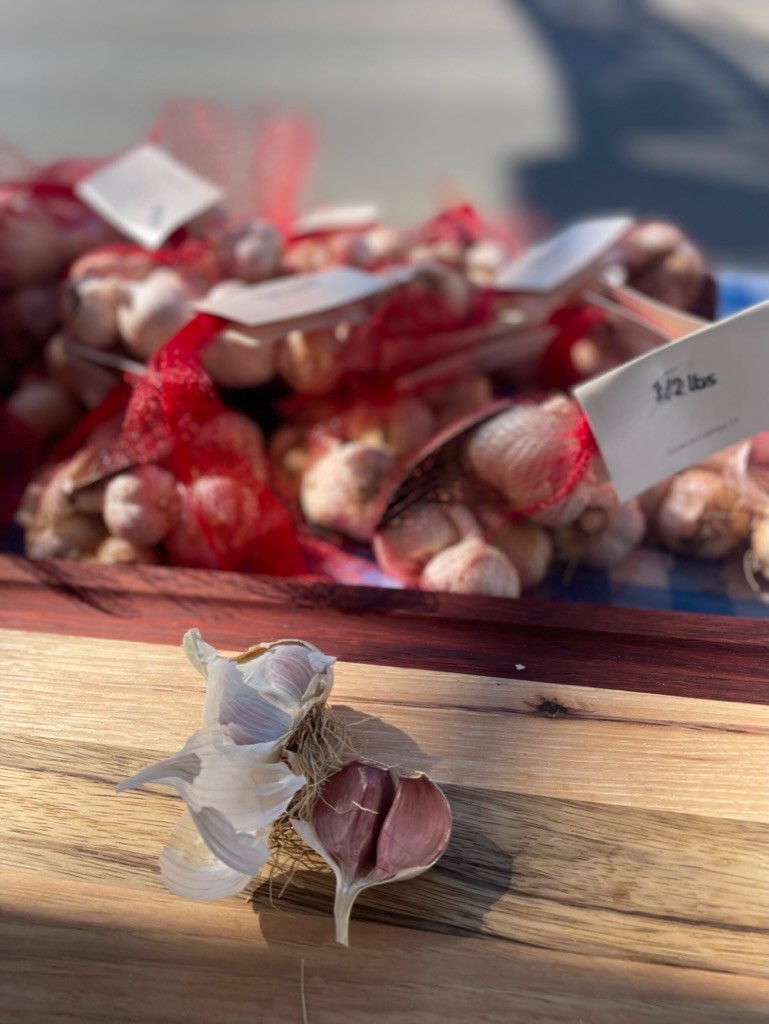 USDA Organic CA Early Garlic Bulbs | Mild Gourmet Garlic | California Grown