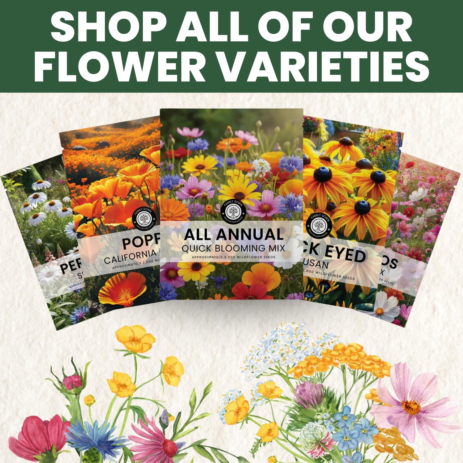 Quick Blooming Wildflower Mix 67,000 Seeds in 4 Ounce Packet for Planting