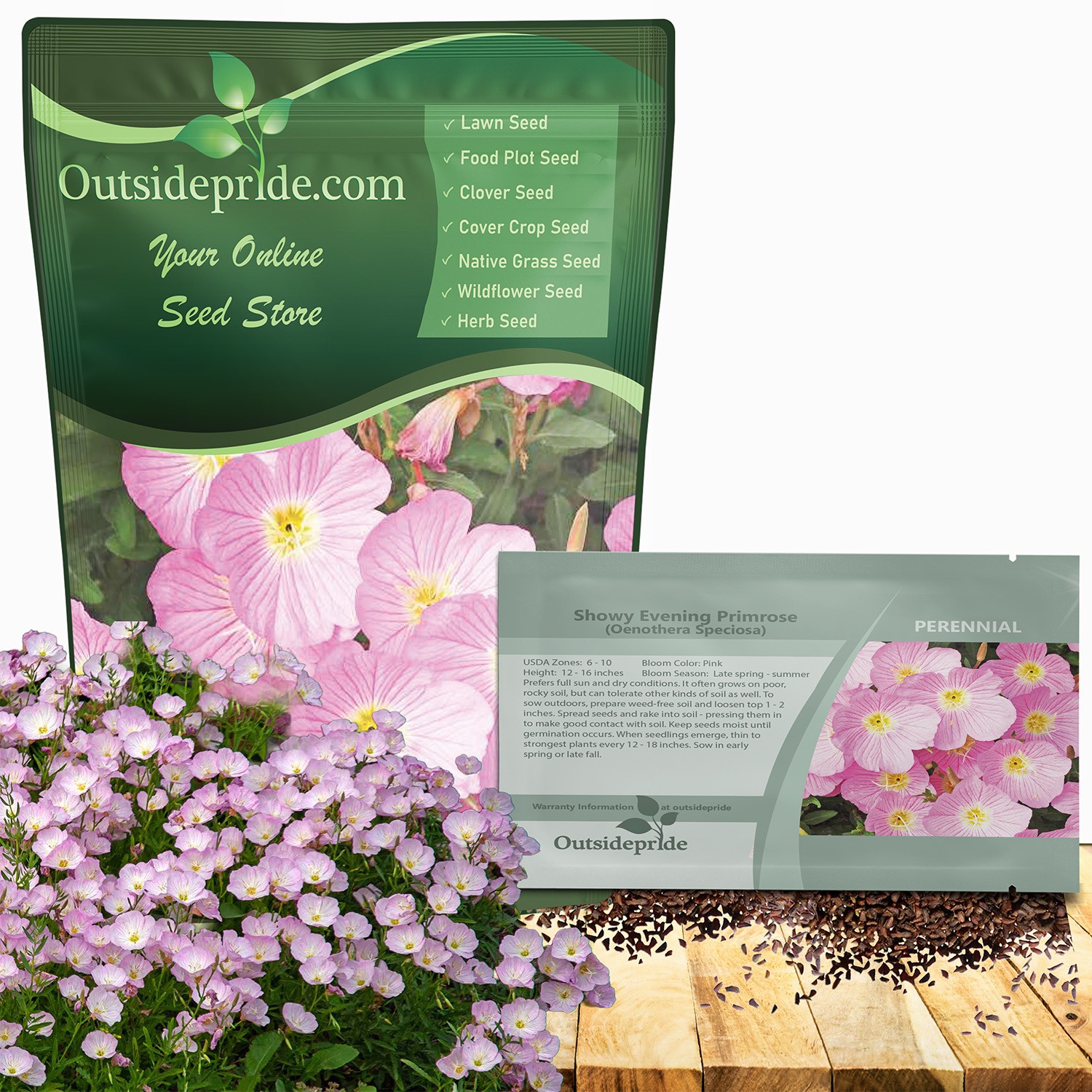 5000 Seeds Pink Primrose Seeds For Planting – Showy Evening Primrose Flower Seed