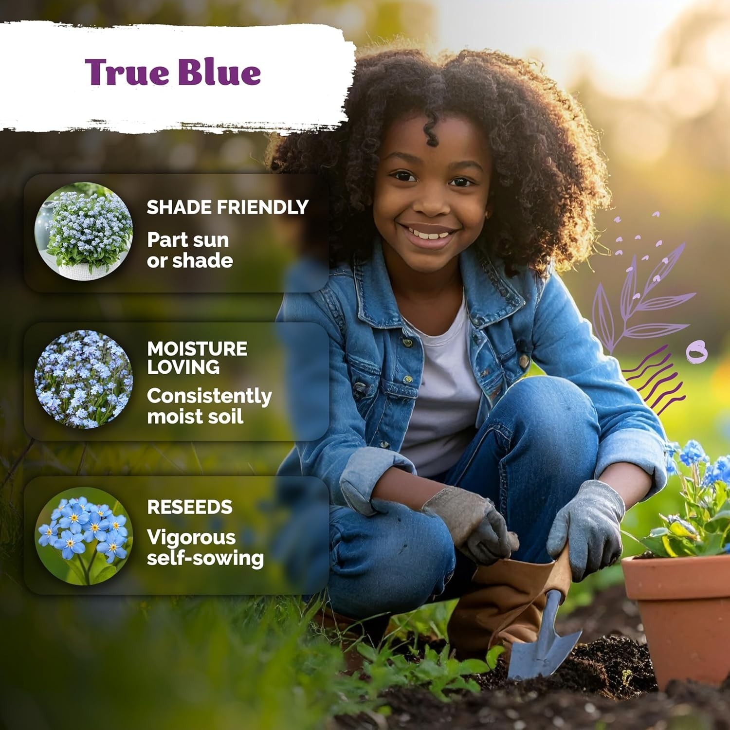 Compact 1200 Count Forget Me Not Seeds – Vibrant Blue Flowers for Easy Growing