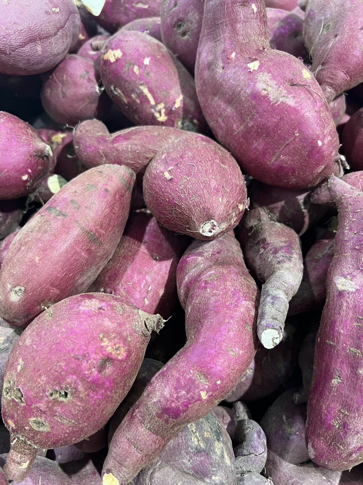 3 LBS Fresh Japanese Murasaki Sweet Potatoes Fresh Yam Root Free Shipping