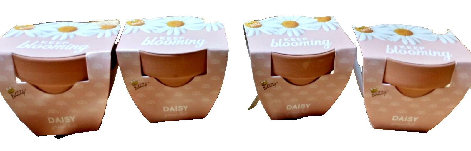 BUZZY 2″ Mini Grow Kit Terra Cotta Pot, Daisy, 4/Pack,