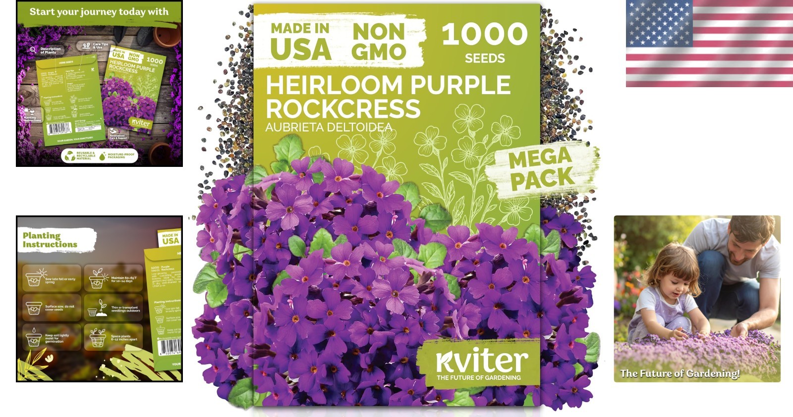 1,000 Organic Purple Rock Cress Seeds – Hardy Aubrieta for Stunning Gardens