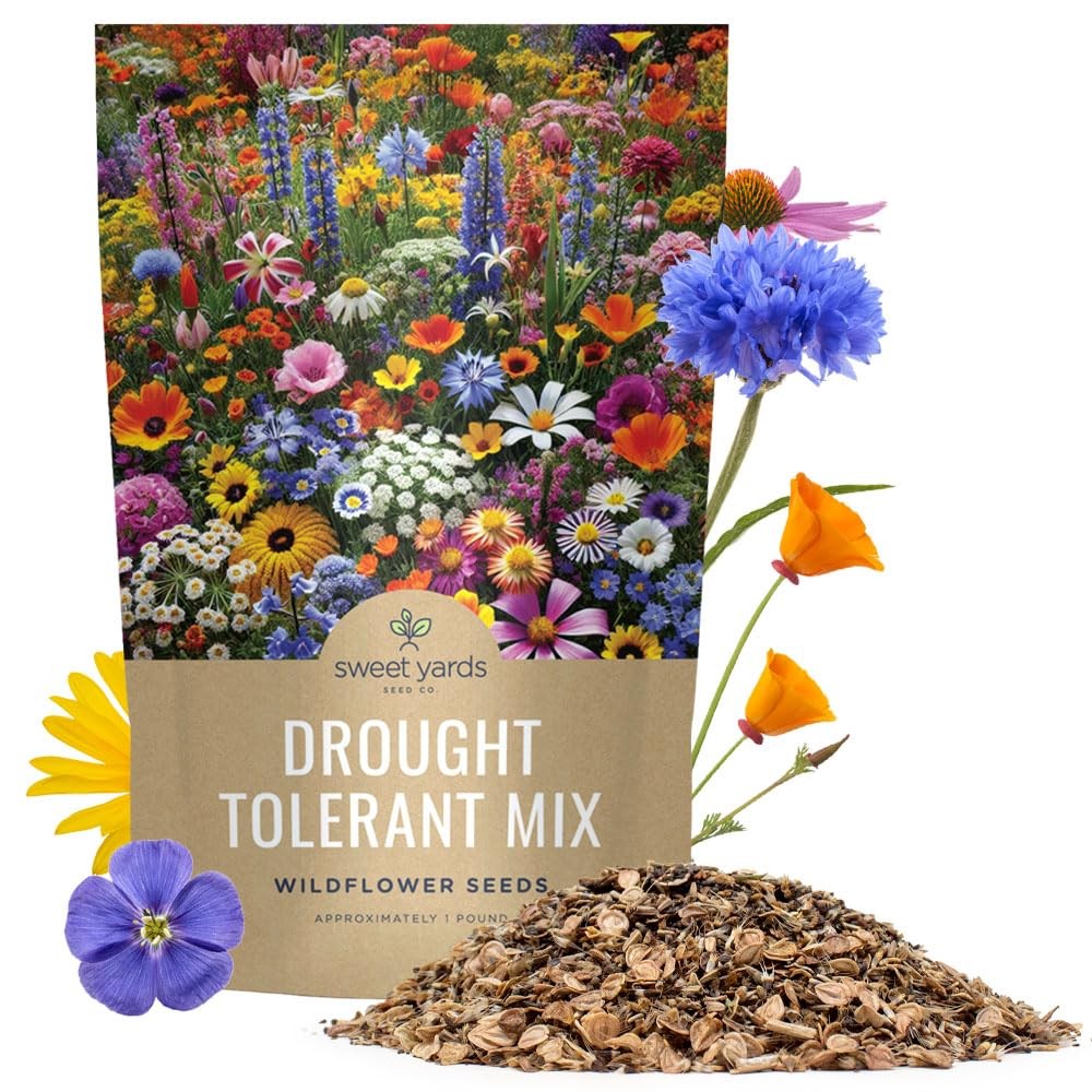 Wildflower Seeds Bulk 1 Pound Bag Drought Tolerant Dryland Open Pollinated 12000