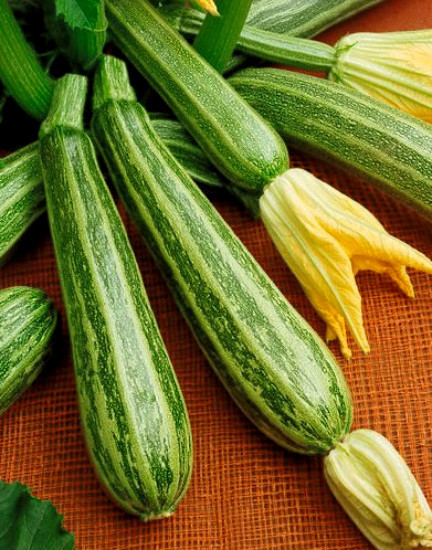 Zucchini Seeds, Italian Striped, Cocozelle Squash, Non-Gmo Heirloom Squash, 35ct