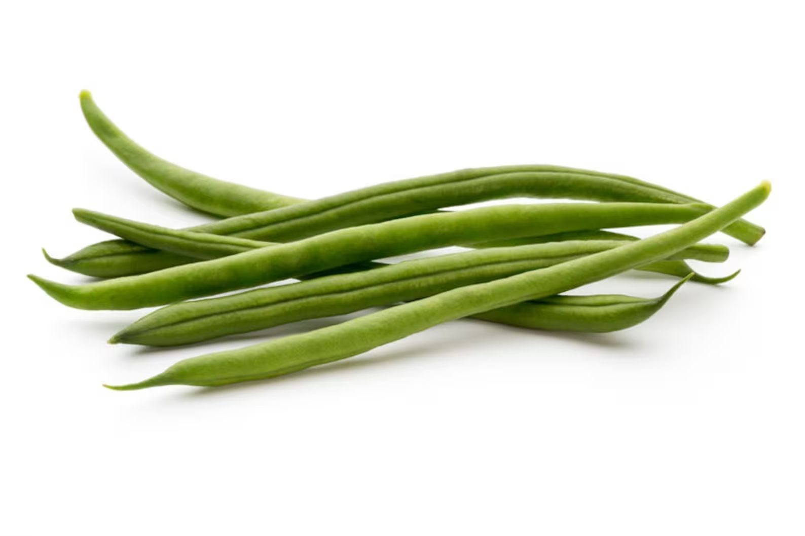 25 Heirloom Jade II Vegetable Bean Seeds!