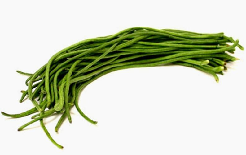 50+LIGHT GREEN YARD LONG BEANS / ASPARAGUS BEANS  FREE SHIPPIMG FROM U.S.A.