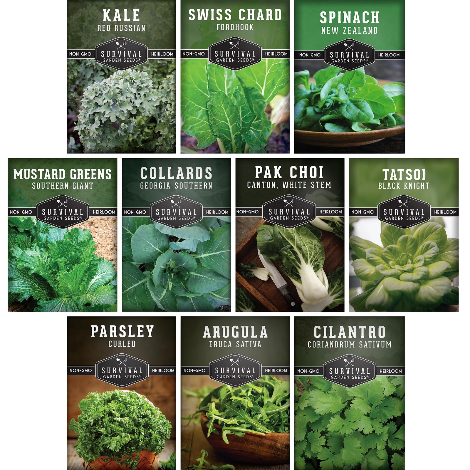 10 Power Greens Seed Variety Pack Collection