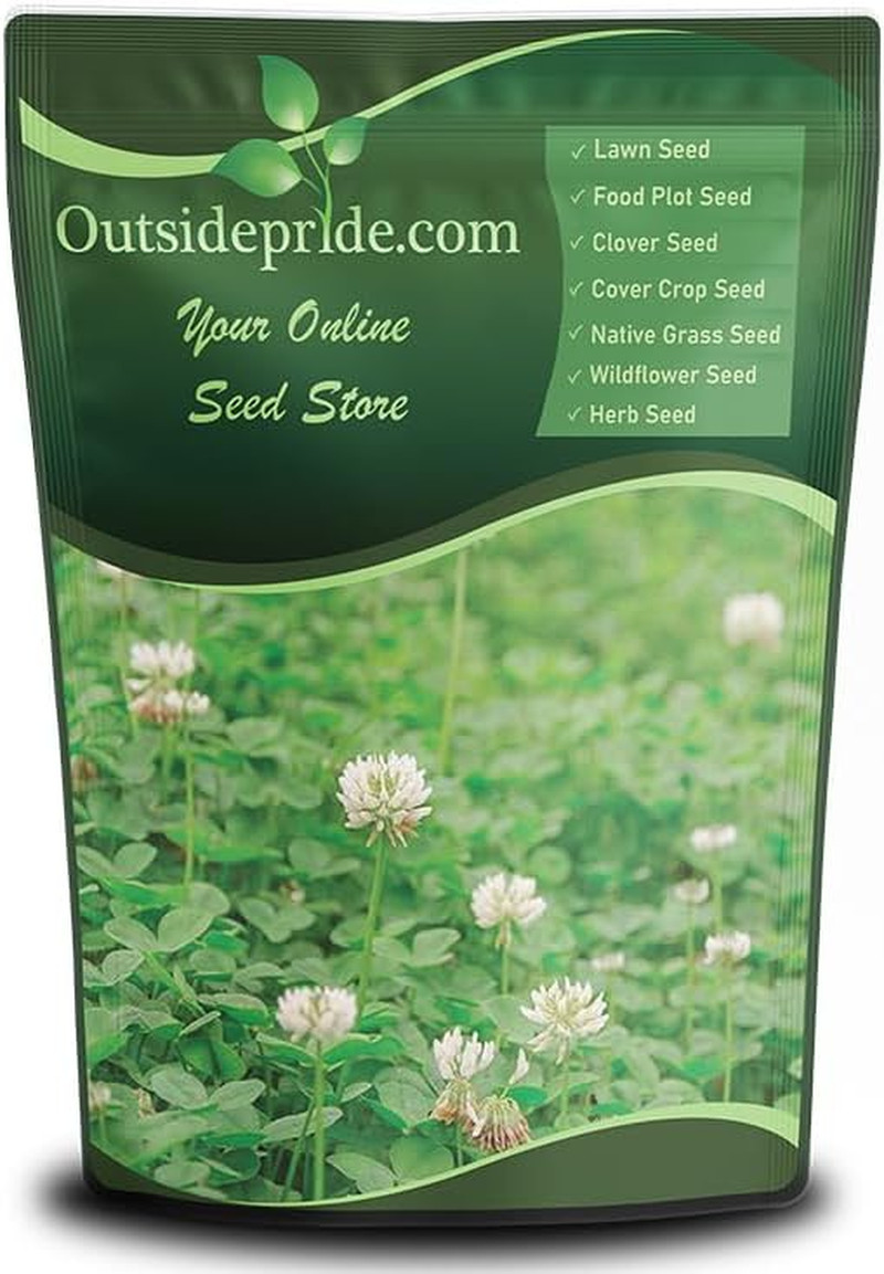 Outsidepride Perennial White Dutch Clover Seed – 2 Lbs. Nitrocoated, Inoculated
