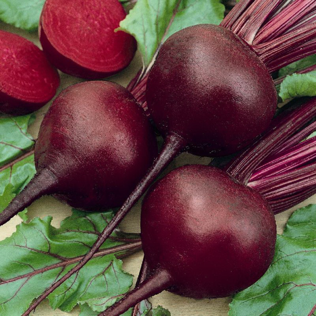 Fresh Detroit Dark Red Beet Seeds | Heirloom Non-GMO | Fresh Vegetable Seeds