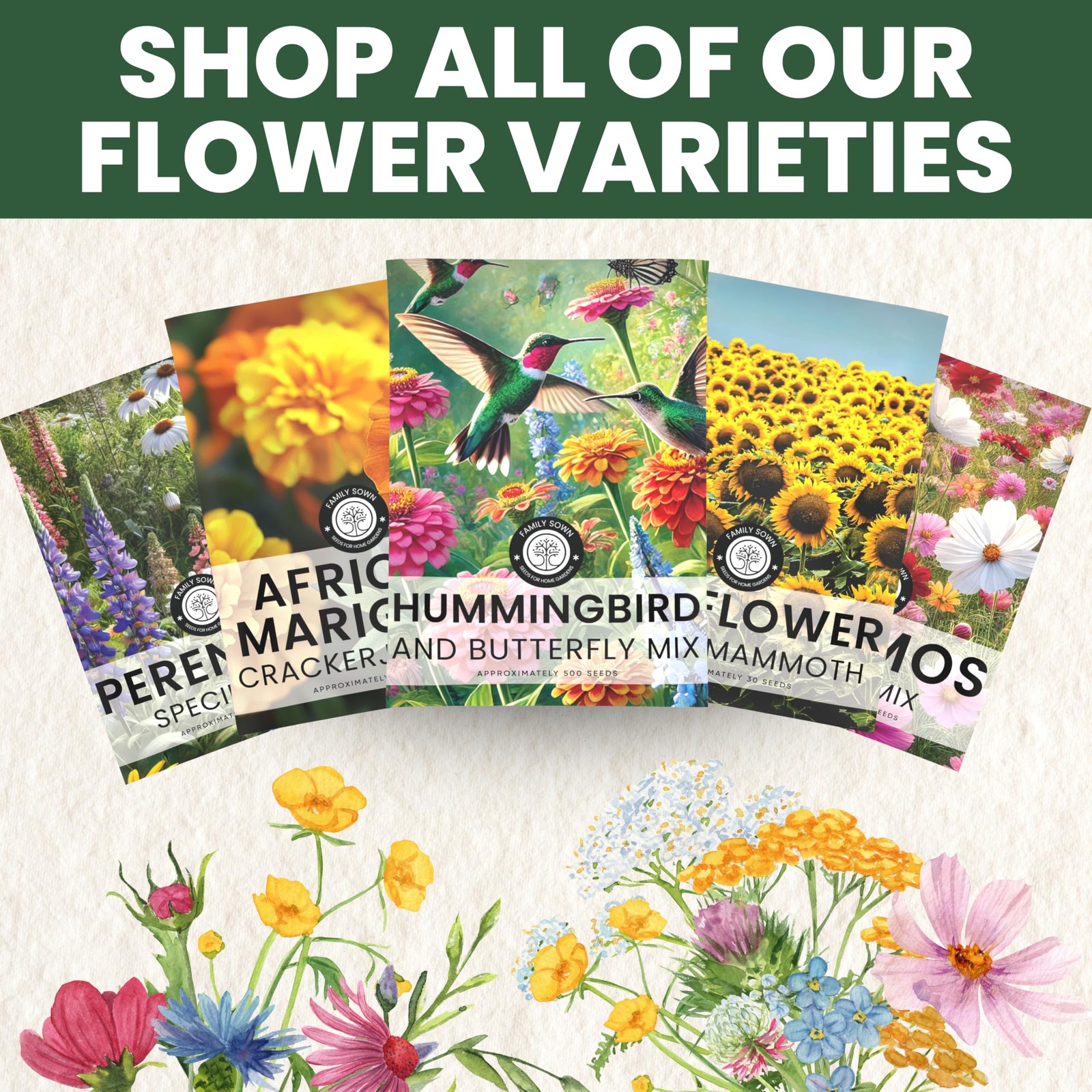 Hummingbird Butterfly Mix Large 1 Ounce Packet 7,500 Flower Seeds for Plant…